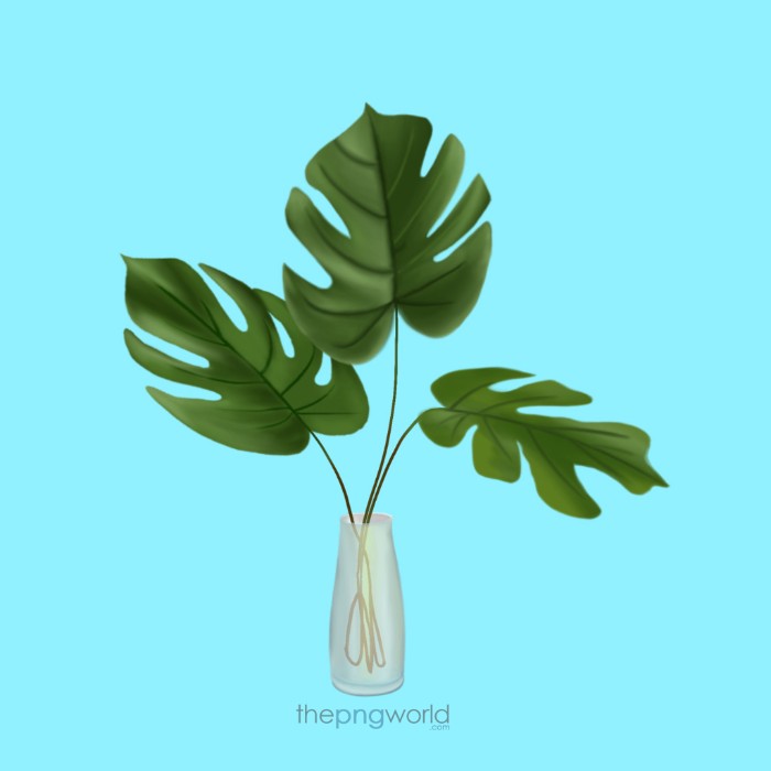 Monstera Deliciosa Plant Pot with Leaf HD PNG plant,leaf,pot,vector,png,garden,green,environment,greenry,save world,soil,transparent